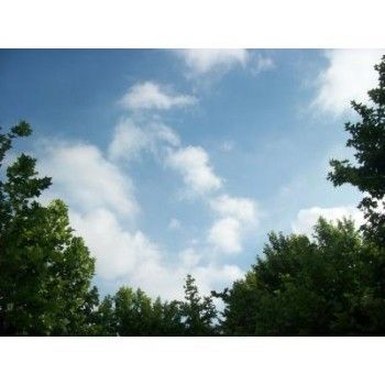 環境空氣及工業廢氣檢測