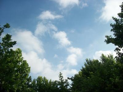 環境空氣及工業廢氣檢測